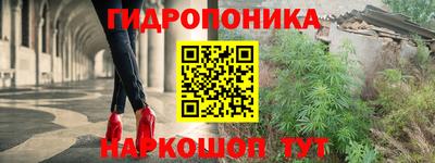 крисы Заводоуковск